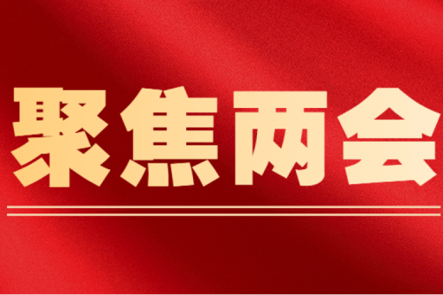 天下人大代表李寅建议（三）丨尽快解决可再生能源电价附加津贴拖欠问题的建议