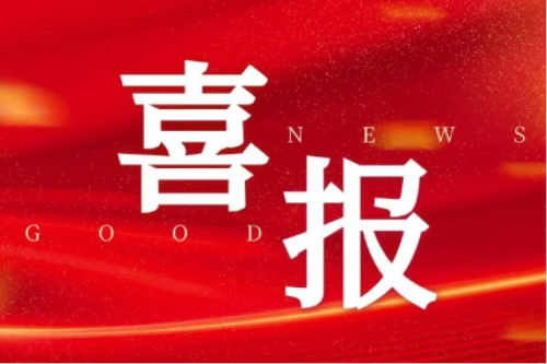 喜报！智能配电网事业部荣获2025年黑龙江省工人先锋号（巾帼尖兵岗）声誉称呼